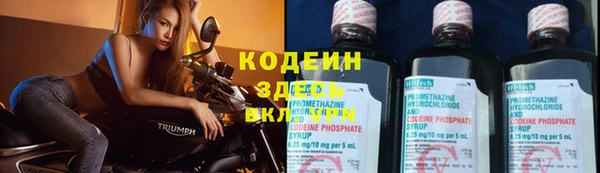 стаф Абинск