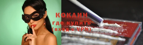 стаф Абинск