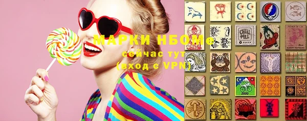 стаф Абинск