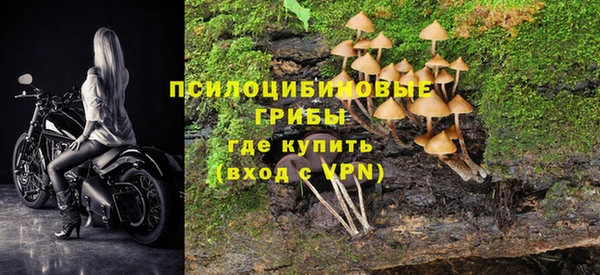 стаф Абинск