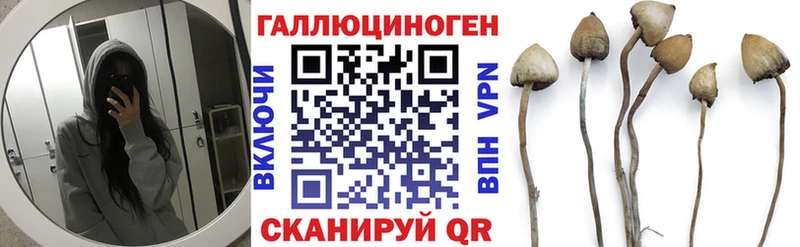 Галлюциногенные грибы мицелий  Саратов 