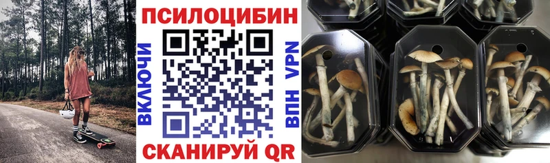 Псилоцибиновые грибы MAGIC MUSHROOMS Саратов